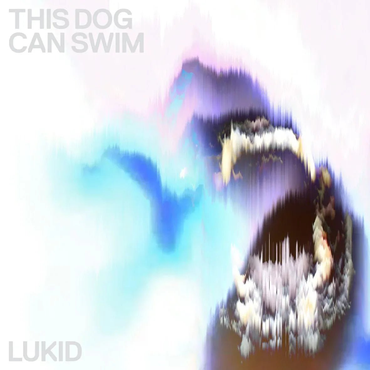 Lukid - This Dog Can Swim (12" Vinyl) - Joco Records