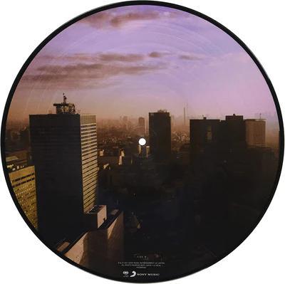 Manic Street Preachers - Ultra Vivid Lament (Picture Disc Vinyl, Import) (LP) - Joco Records