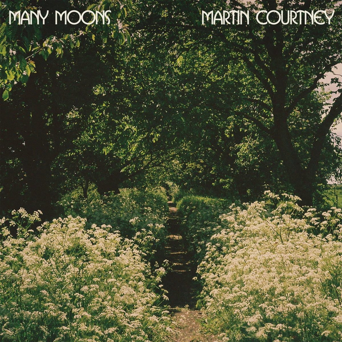 Martin Courtney - Many Moons (LP) - Joco Records