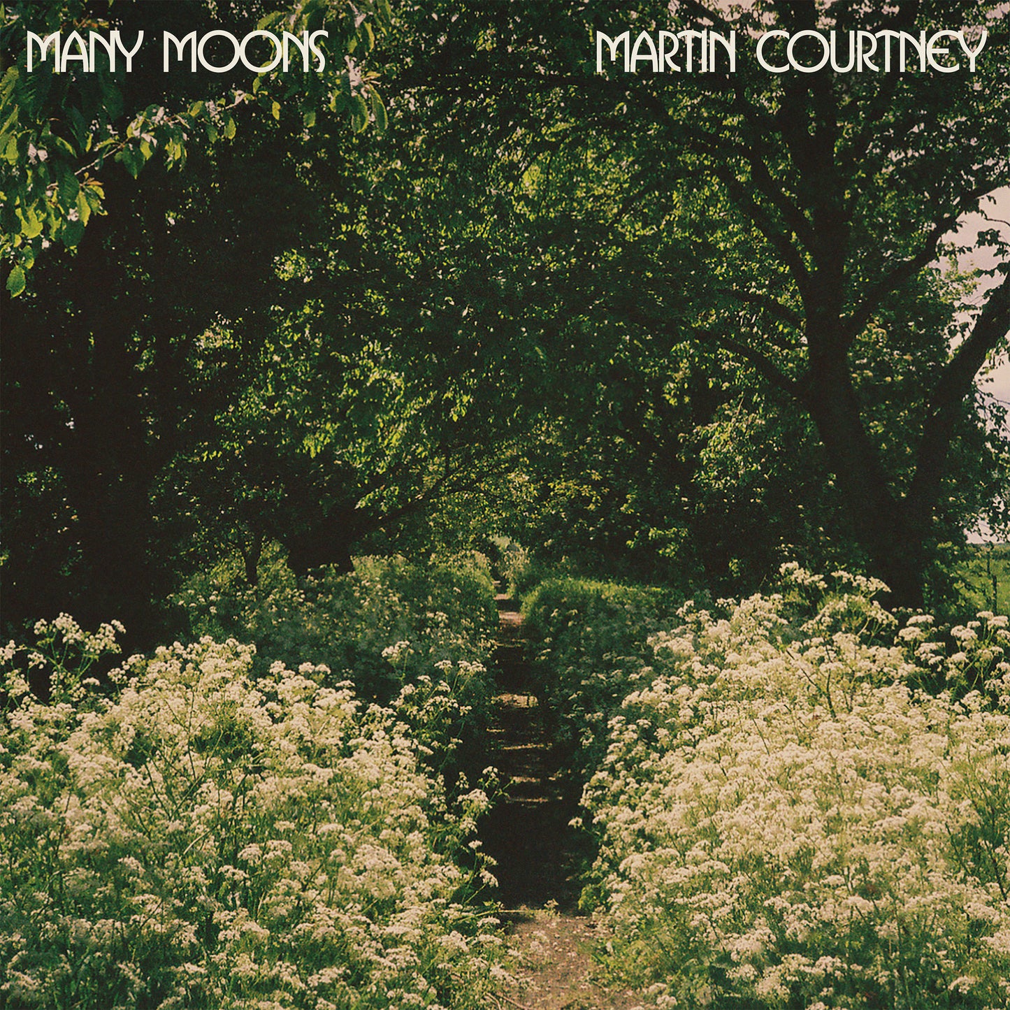 Martin Courtney - Many Moons (Vinyl) - Joco Records