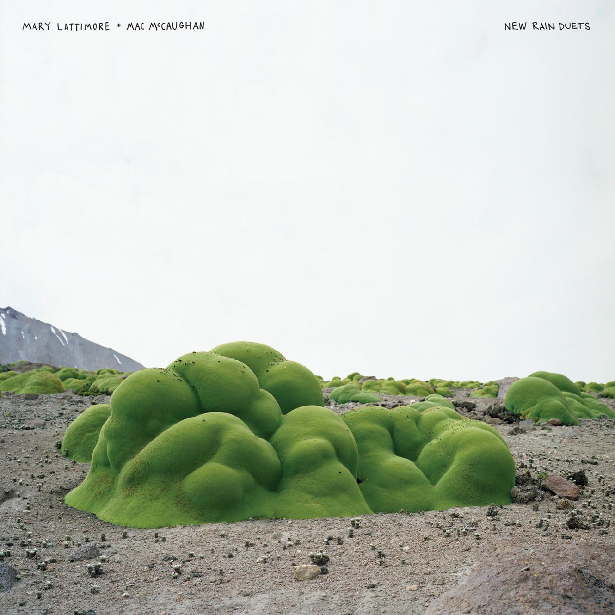 Mary & Mac Mccaughan Lattimore - New Rain Duets (LP) - Joco Records