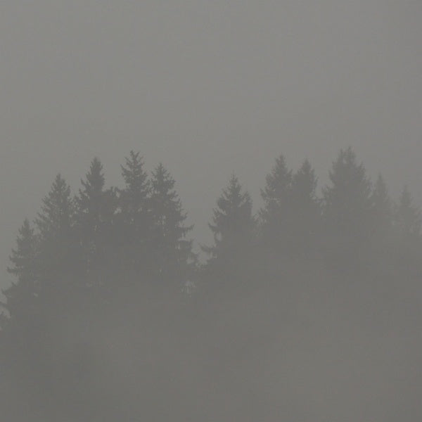 MAX LODERBAUER - Donnerwetter