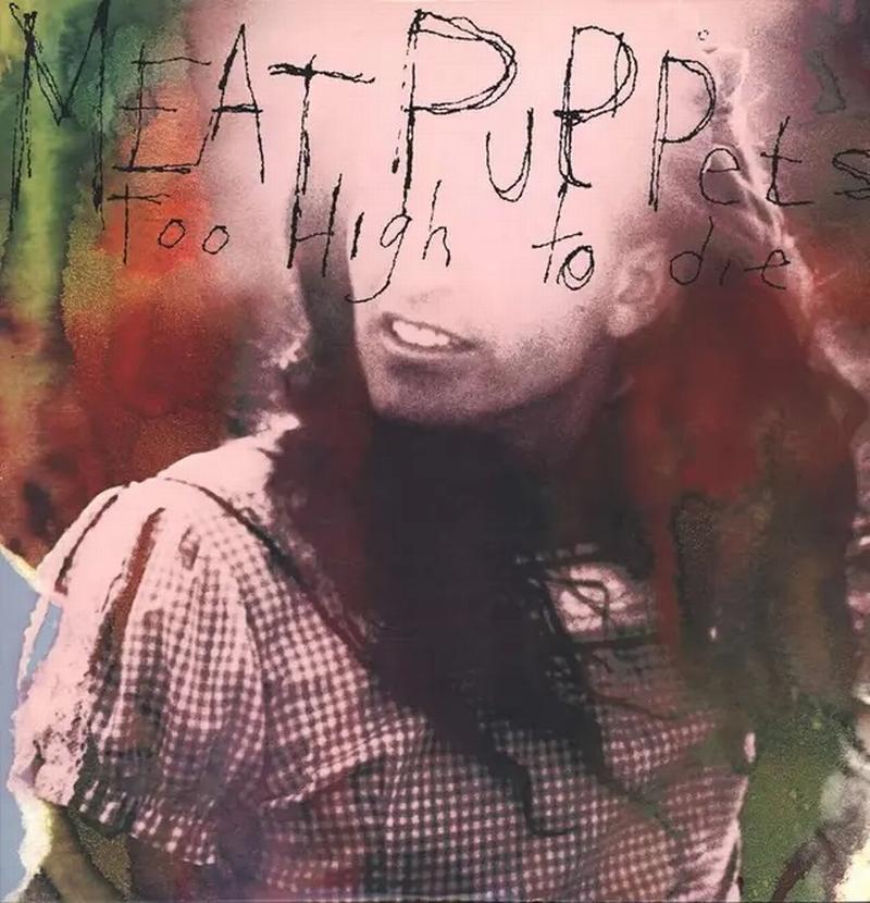 Meat Puppets - Too High To Die (LP)