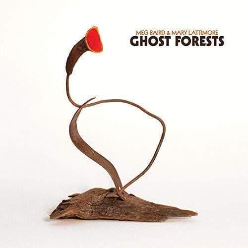 Meg And Mary Lattimore Baird - Ghost Forests (LP) - Joco Records