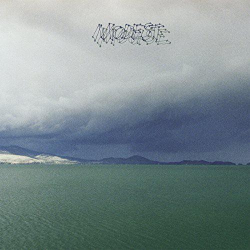 Modest Mouse - The Fruit That Ate Itself (Vinyl) - Joco Records