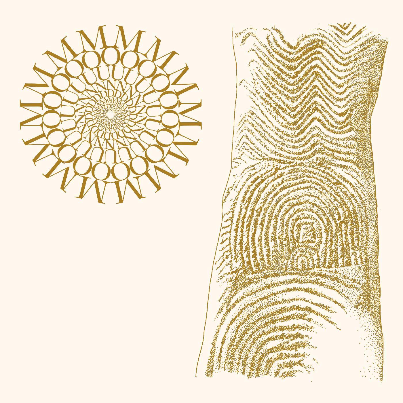 Moundabout - Flowers Rot, Bring Me Stones (Brown & Clear Speckle Vinyl) (LP) - Joco Records
