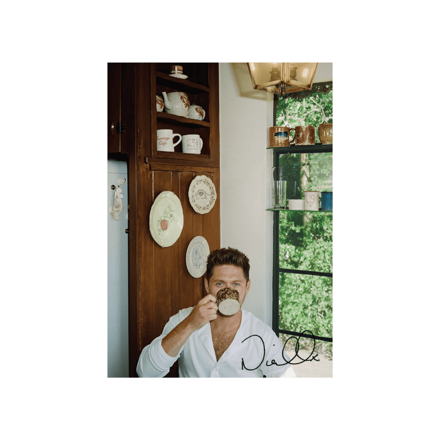 Niall Horan - Dinner Party (Signed Insert) (Porcelain) (LP) - Joco Records