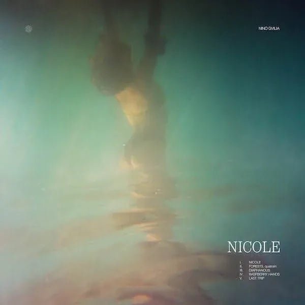 Nino Gvilia - Nicole / Overwhelmed by the Unexplained (LP) - Joco Records