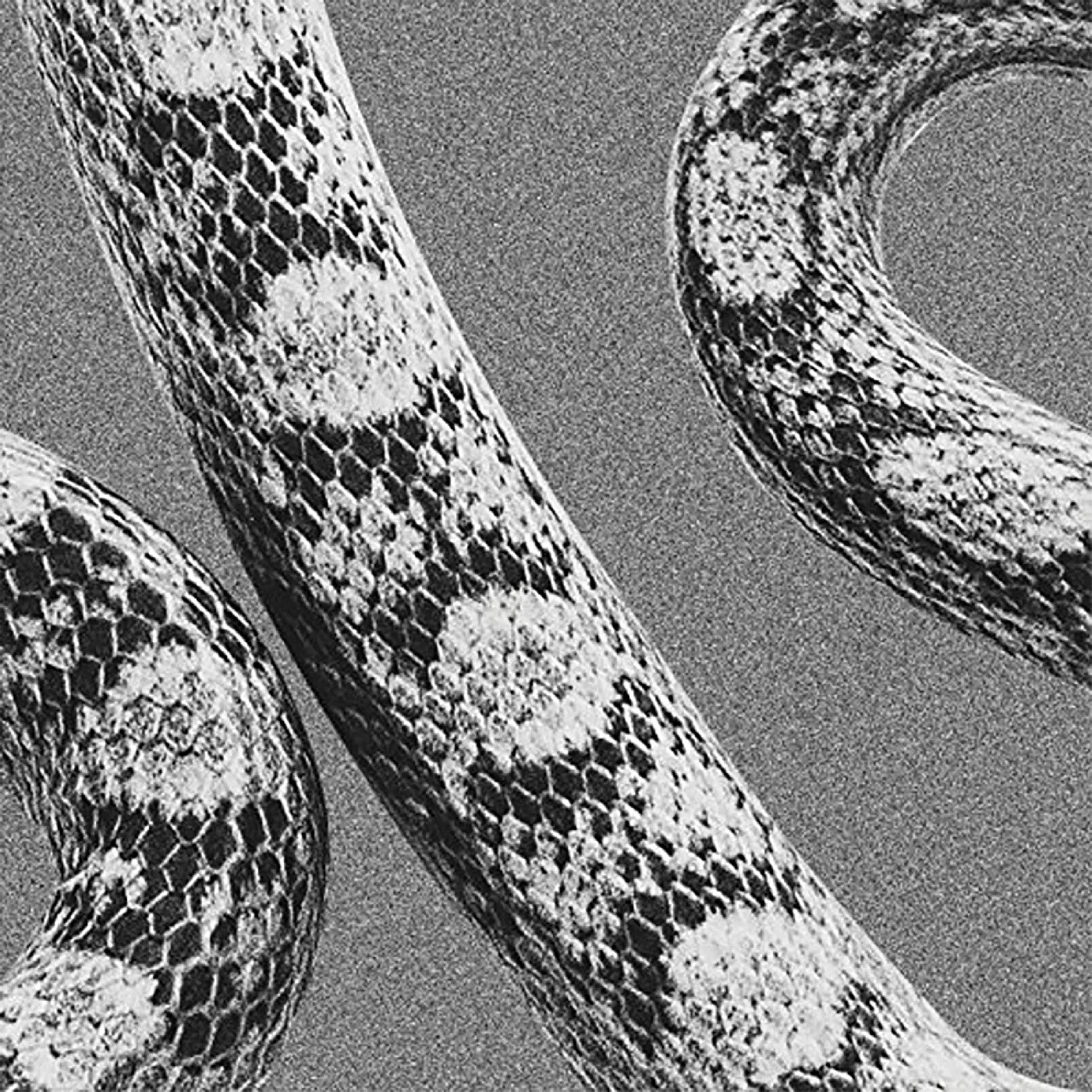 Noah Gundersen - God Don't Talk To Strangers/Lady Of The Ocean