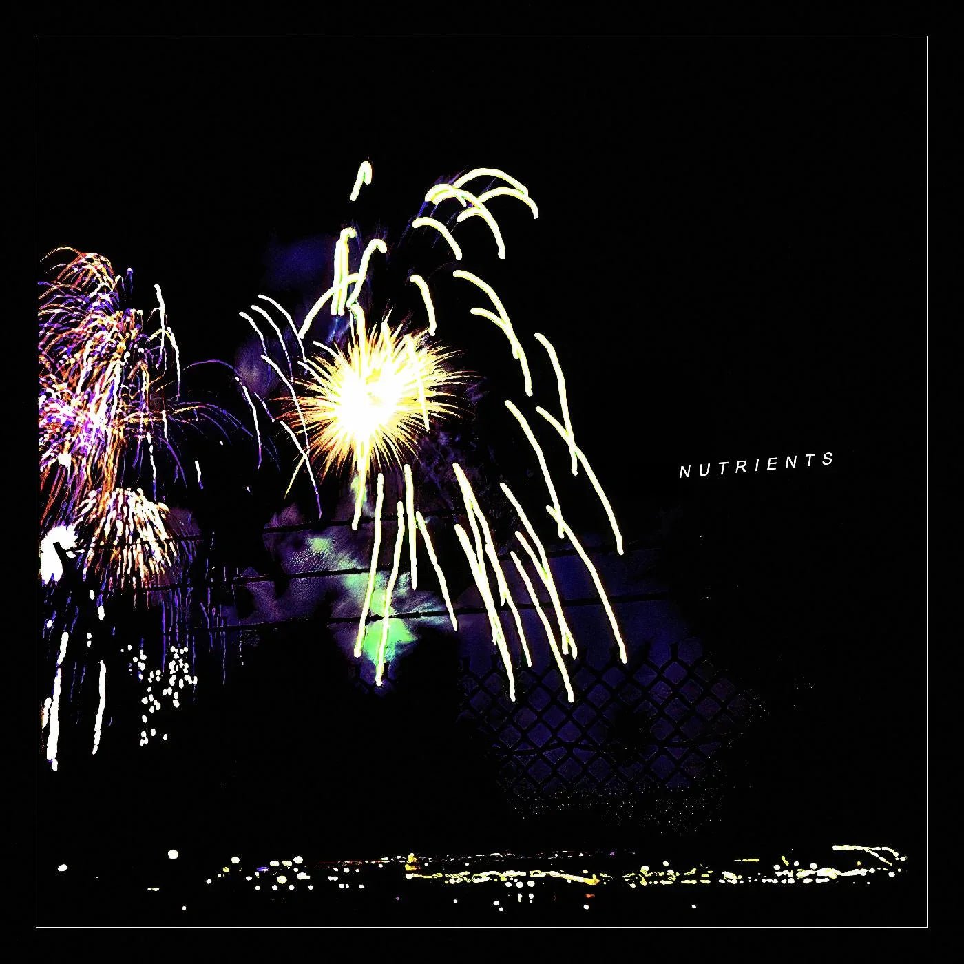 Nutrients - Different Bridges (LP) - Joco Records