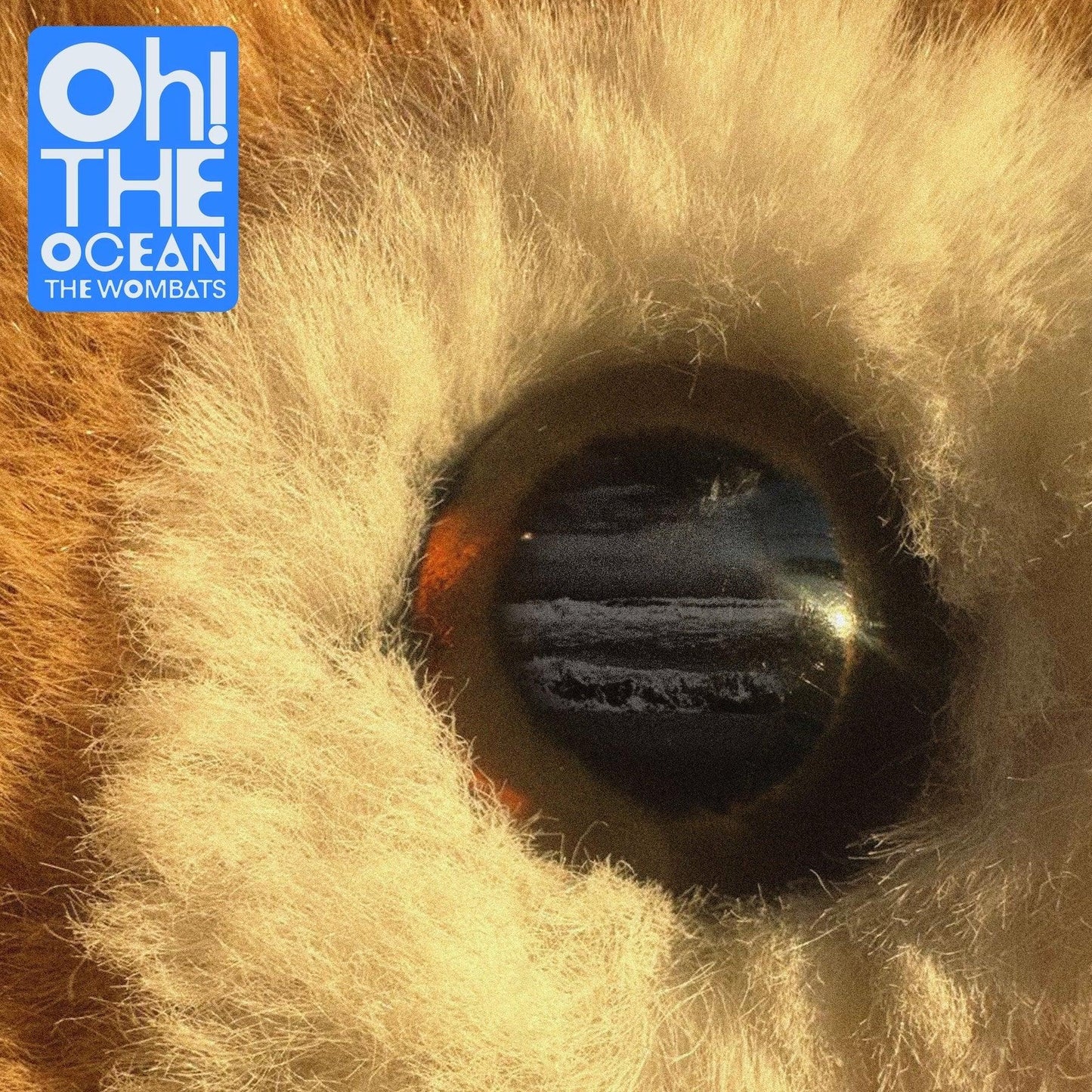 The Wombats - Oh! The Ocean (Limited Edition, Transparent Blue Vinyl) (LP)