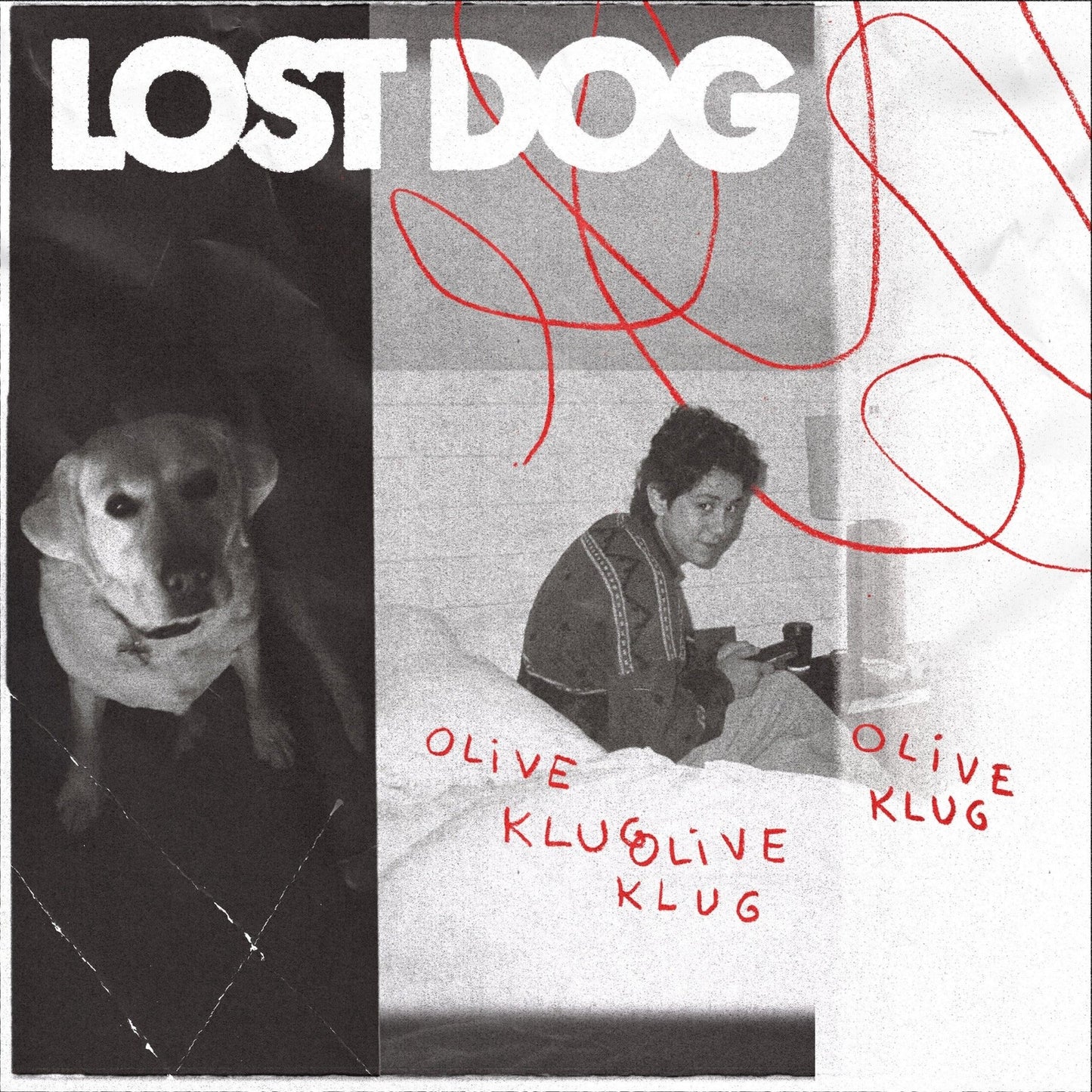 Olive Klug - Lost Dog (LP) - Joco Records