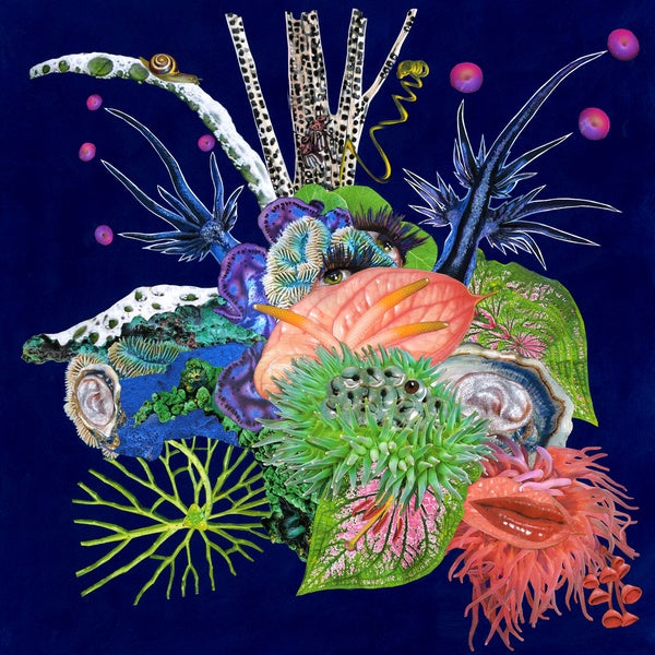 O'O - Touche (Vinyl)