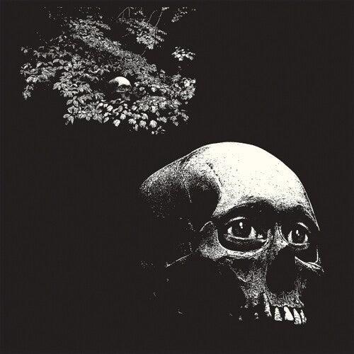 Osees - A Foul Form (LP) - Joco Records