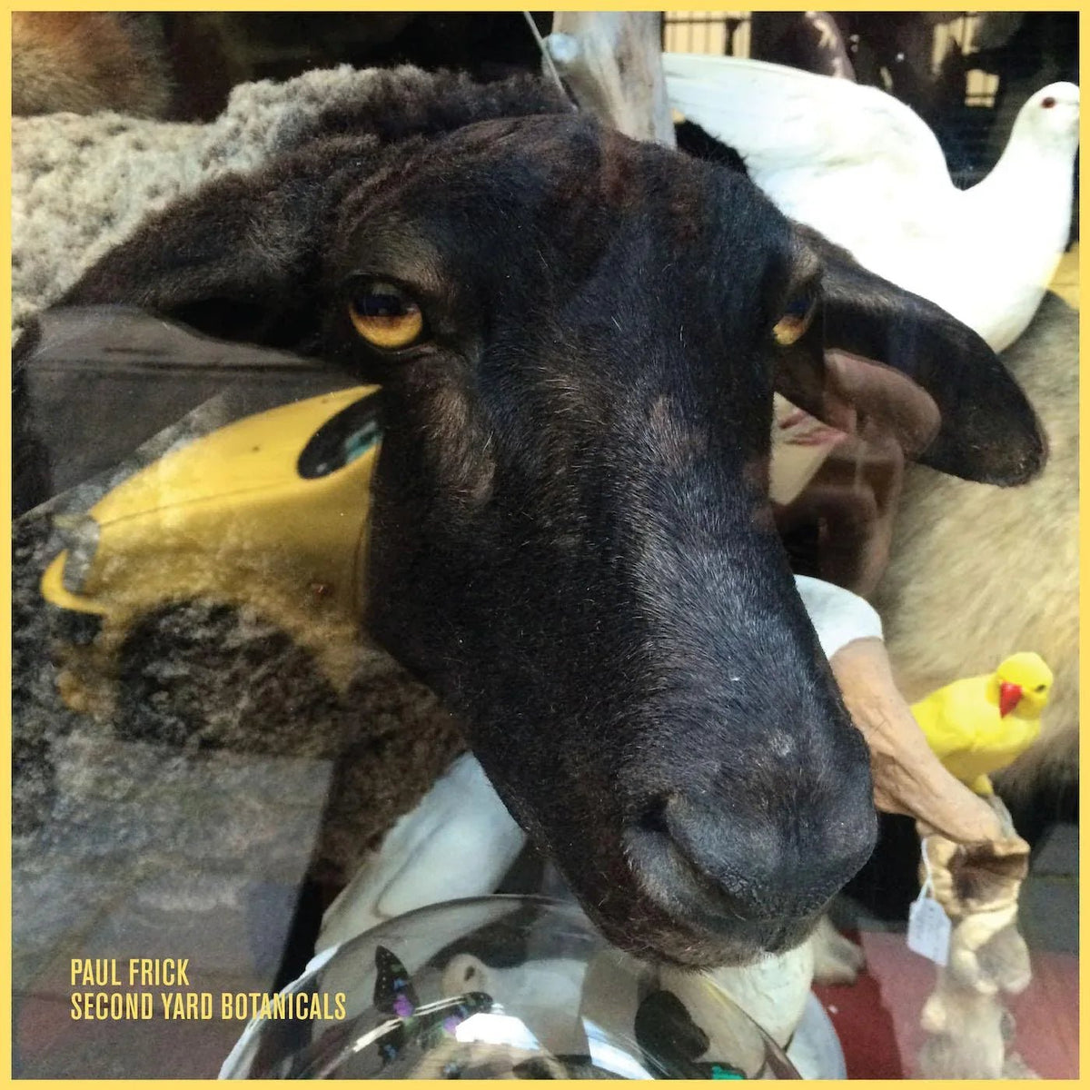 Paul Frick - Second Yard Botanicals (LP) - Joco Records