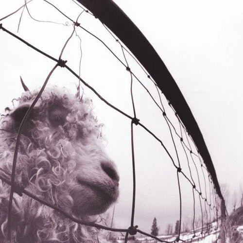 Pearl Jam - Vs. (Limited Edition, Remastered, Clear Vinyl) (LP)