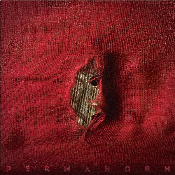 Permahorn - My Blood Carries My Dreams Away (LP) - Joco Records