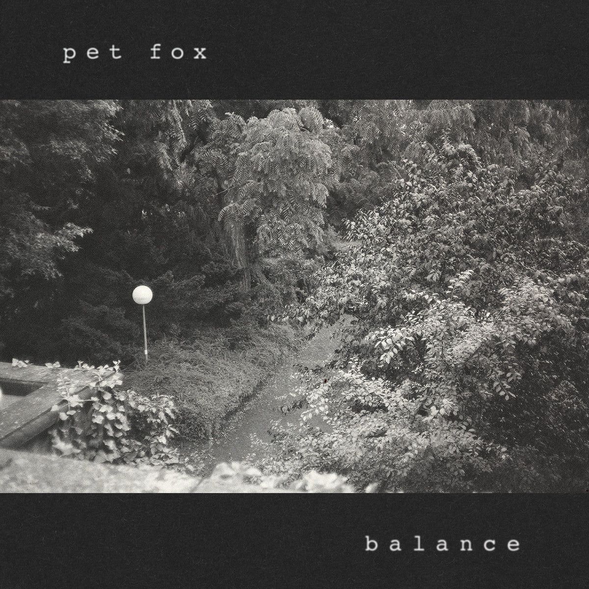 Pet Fox - Balance (Cobweb Color Vinyl) - Joco Records