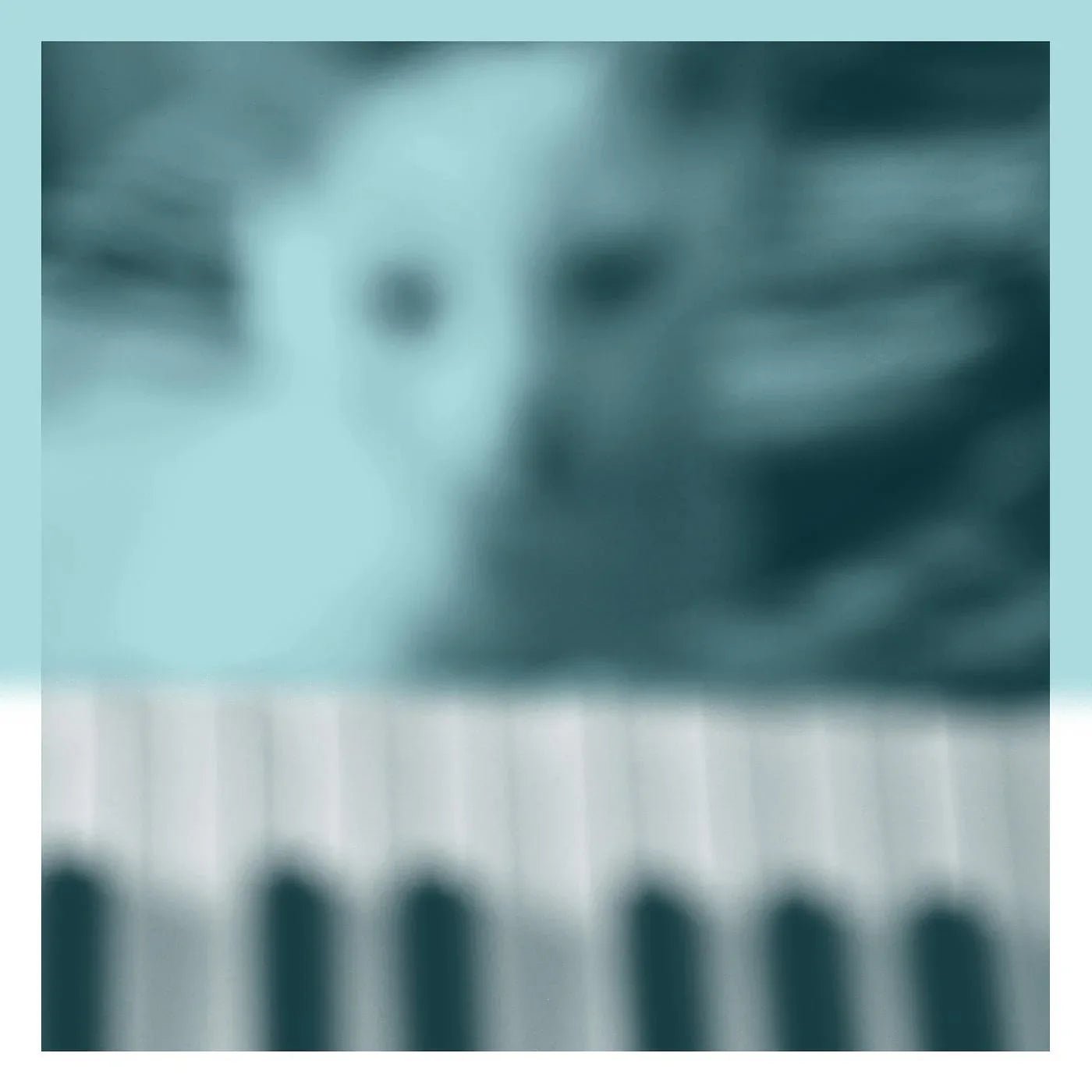 Peter Broderick - Piano Works Vol. 1 (Floating in Tucker's Basement) (2 LP) - Joco Records