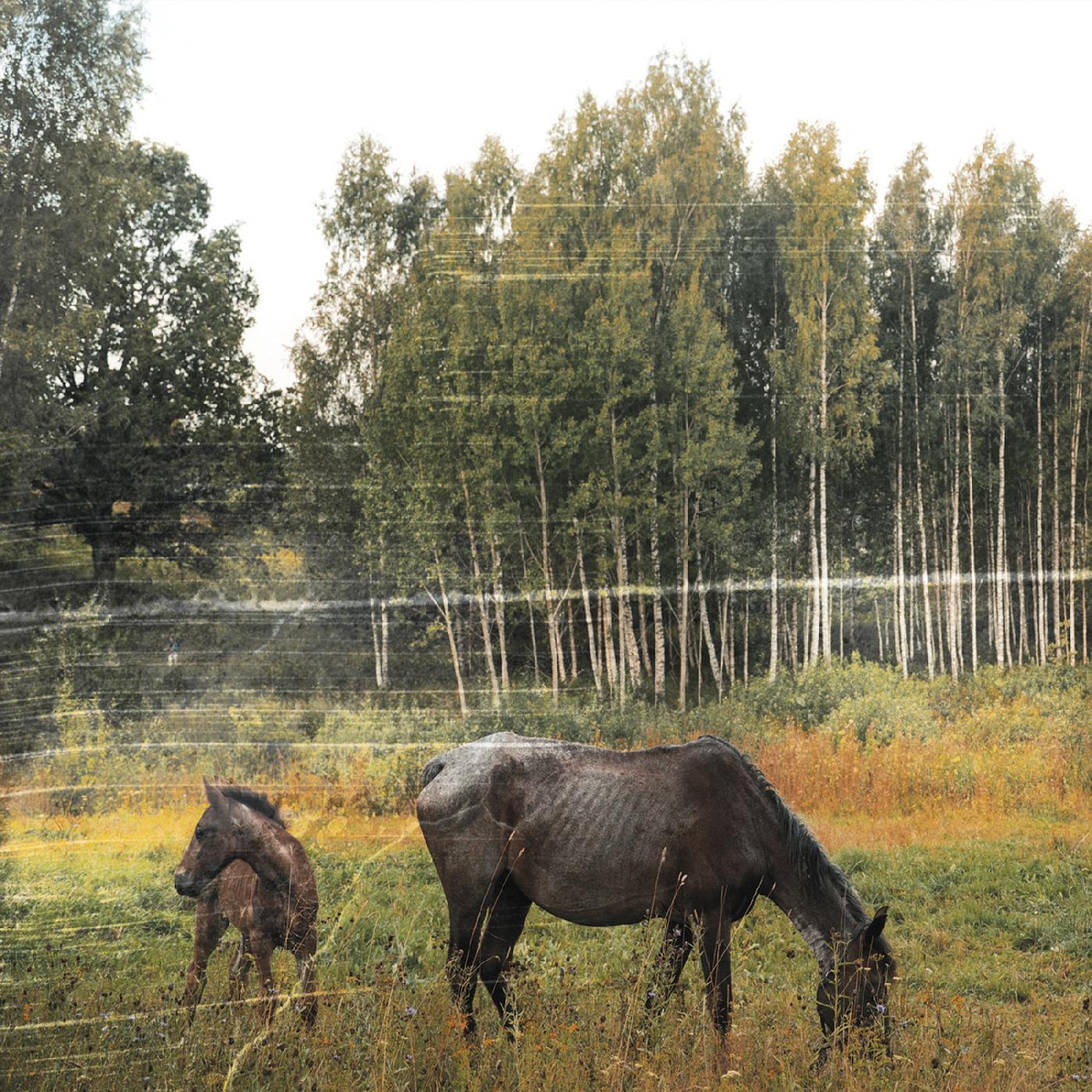 Pianos Become The Teeth - Old Pride (Forest Green Vinyl) (LP)