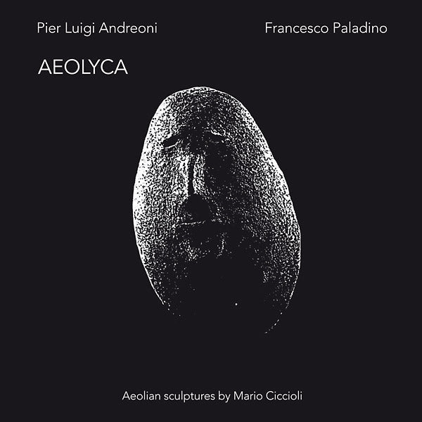 Pier Luigi Andreoni/Francesco Paladino - Aeolyca (LP) - Joco Records