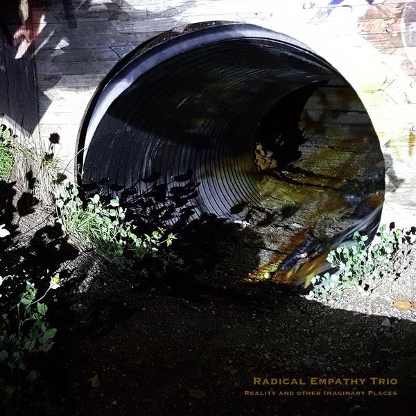 RADICAL EMPATHY TRIO - Reality And Other Imaginary Places