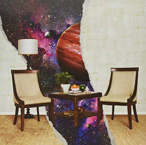 Rainbow Kitten Surprise - How To: Friend, Love, Freefall (LP)