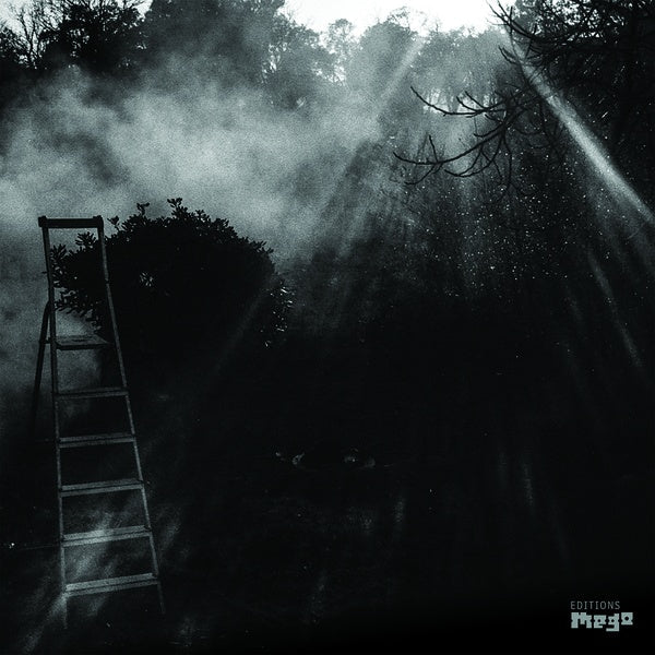 Reinhold Friedl & Eryck Abecassis - Animal Electrique (LP) - Joco Records