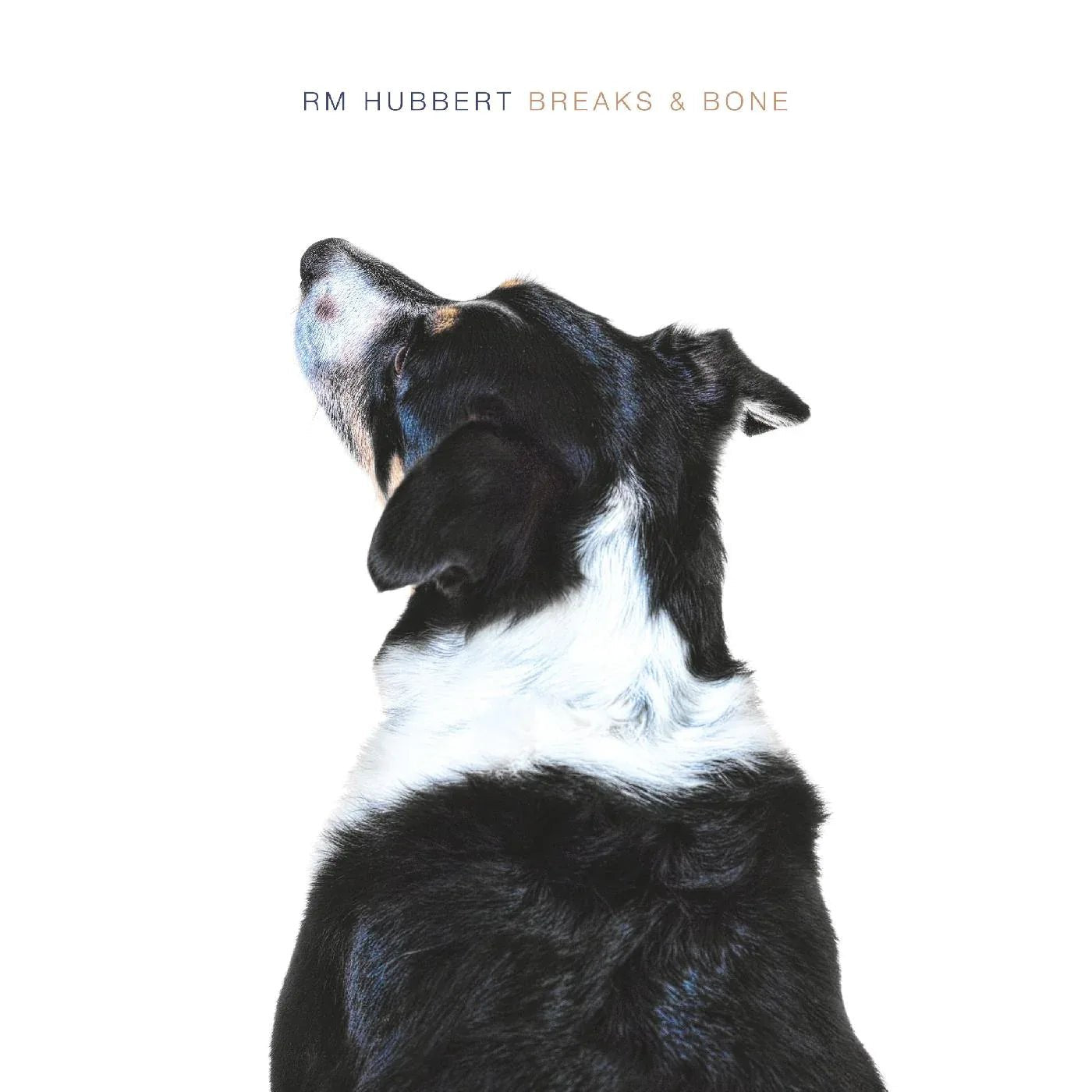 Rm Hubbert - Breaks & Bone (LP) - Joco Records