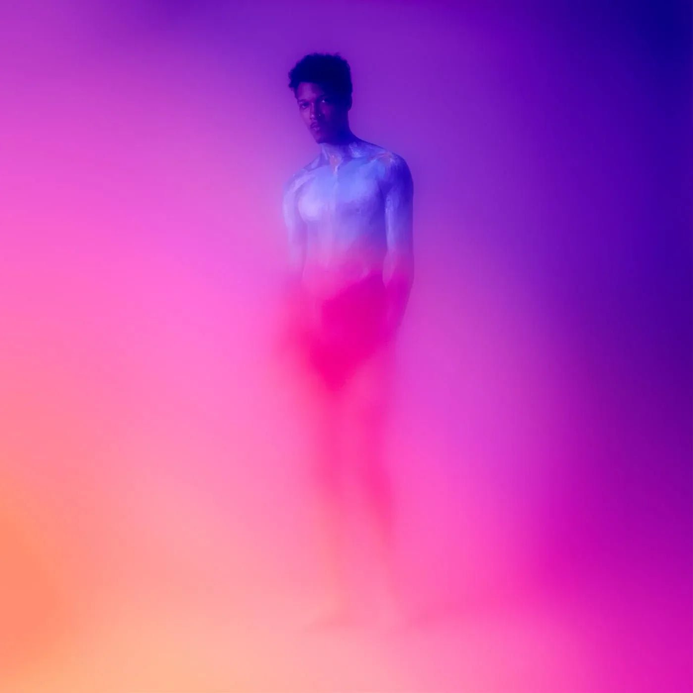 Rosehardt - Songs In The Key Of Solitude (LP) - Joco Records