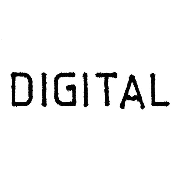 Russell Haswell - Digital (2 LP) - Joco Records