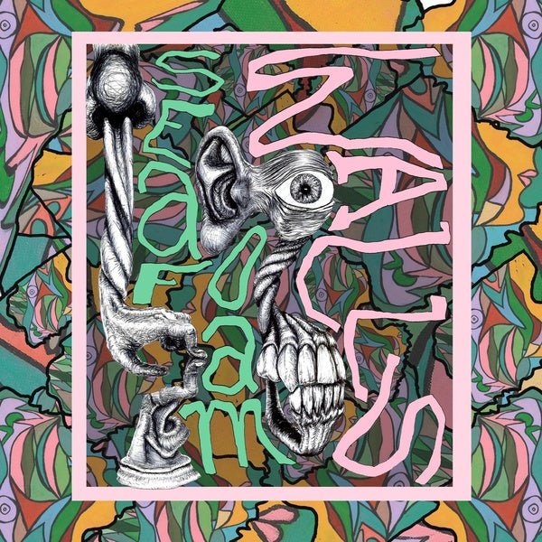 Seafoam Walls - XVI (LP) - Joco Records