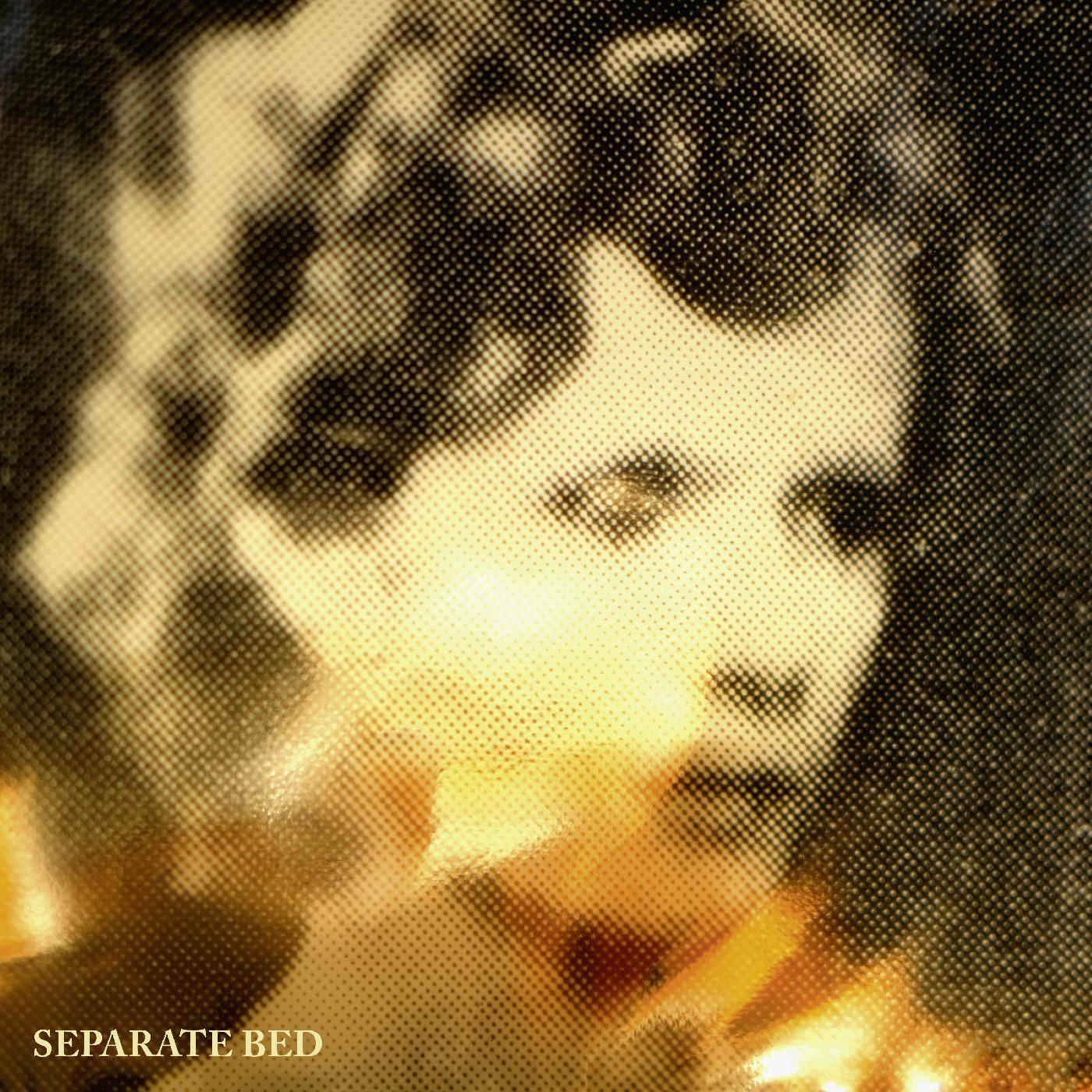 Separate Bed - Separate Bed (LP) - Joco Records