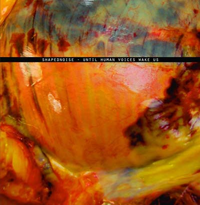 Shapednoise - Until Human Voices Wake Us (12 - Inch Vinyl EP) - Joco Records