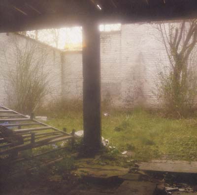 Shkval - Slow Death Process (10 - Inch EP) - Joco Records