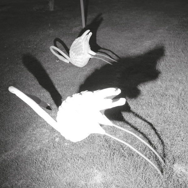 Siavash Amini - A Mimesis Of Nothingness (LP) - Joco Records