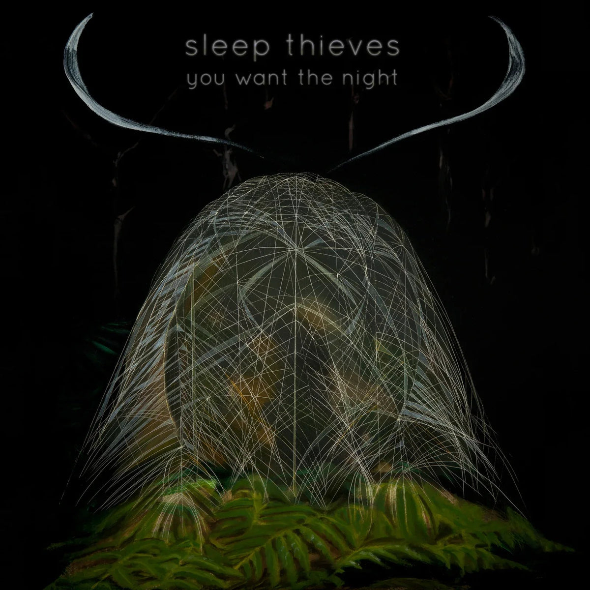 Sleep Thieves - You Want The Night (LP) - Joco Records
