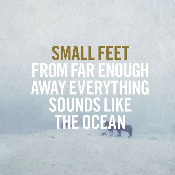 Small Feet - From Far Enough Away Everything Sounds Like The Ocean (LP) - Joco Records