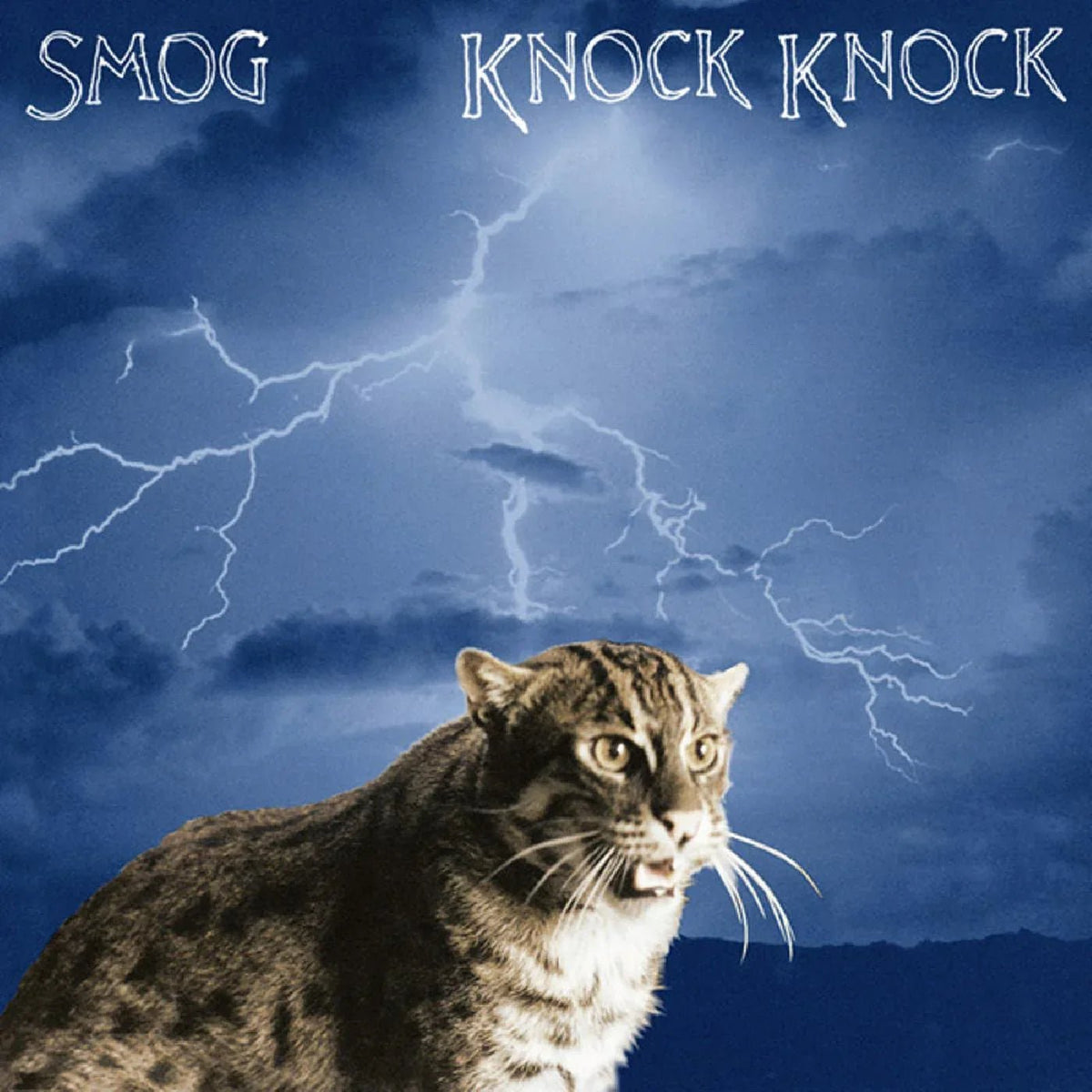 Smog - Knock Knock (LP) - Joco Records