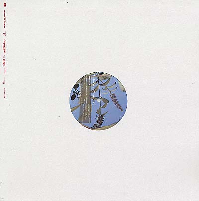 Solovyev - Sonoplex (12 - Inch Vinyl) - Joco Records