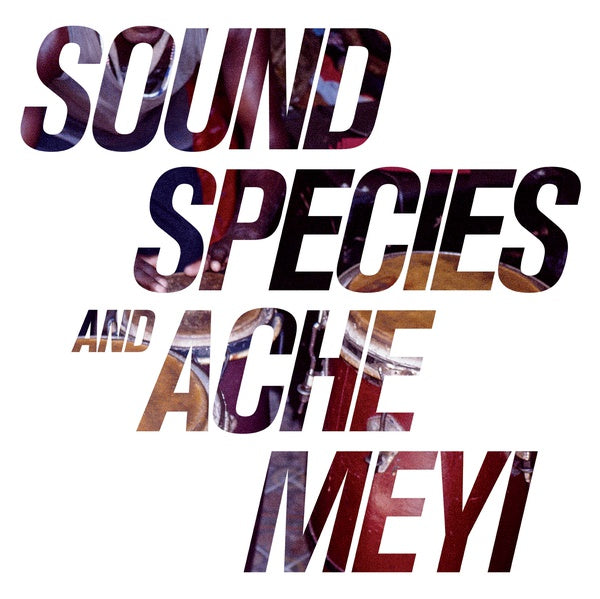 Soundspecies And Ache Meyi - Soundspecies And Ache Meyi (Vinyl)