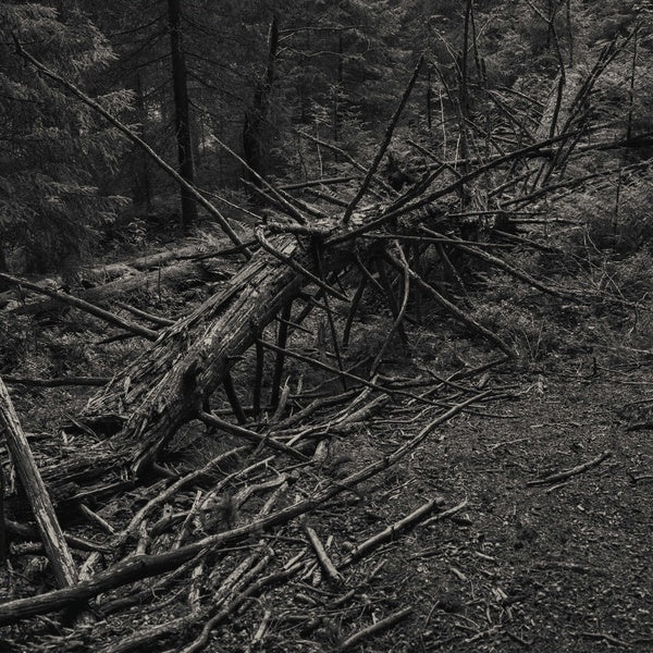 Sult - Always I Gnaw (LP) - Joco Records