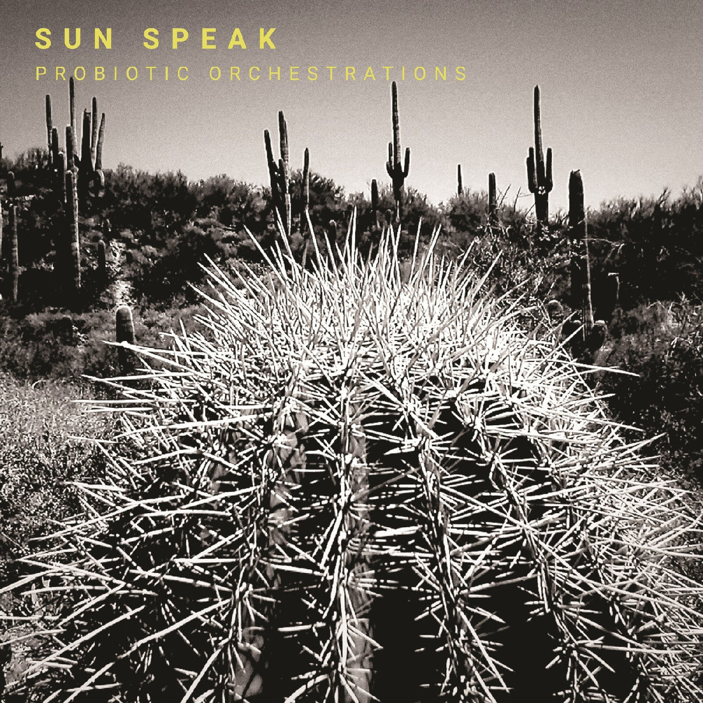 Sun Speak - Probiotic Orchestrations