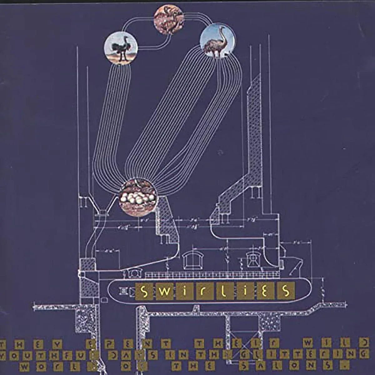 Swirlies - They Spent Their Wild Youthful Days In The Glittering World Of The Salons (Indie Exclusive, Limited Edition) (LP) - Joco Records