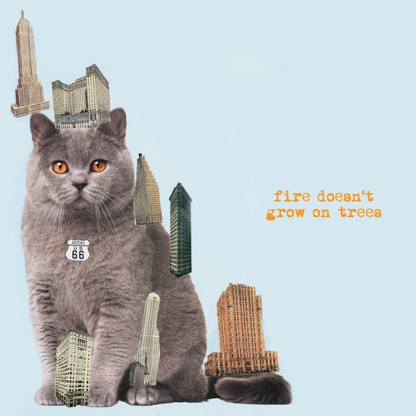 The Brian Jonestown Massacre - Fire Doesn't Grow On Trees (Vinyl)