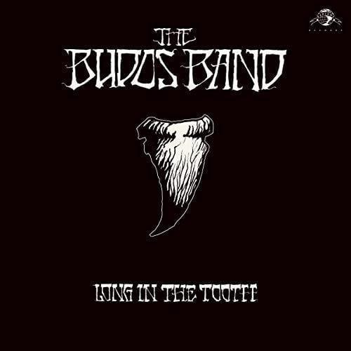 The Budos Band - Long In The Tooth (LP) - Joco Records