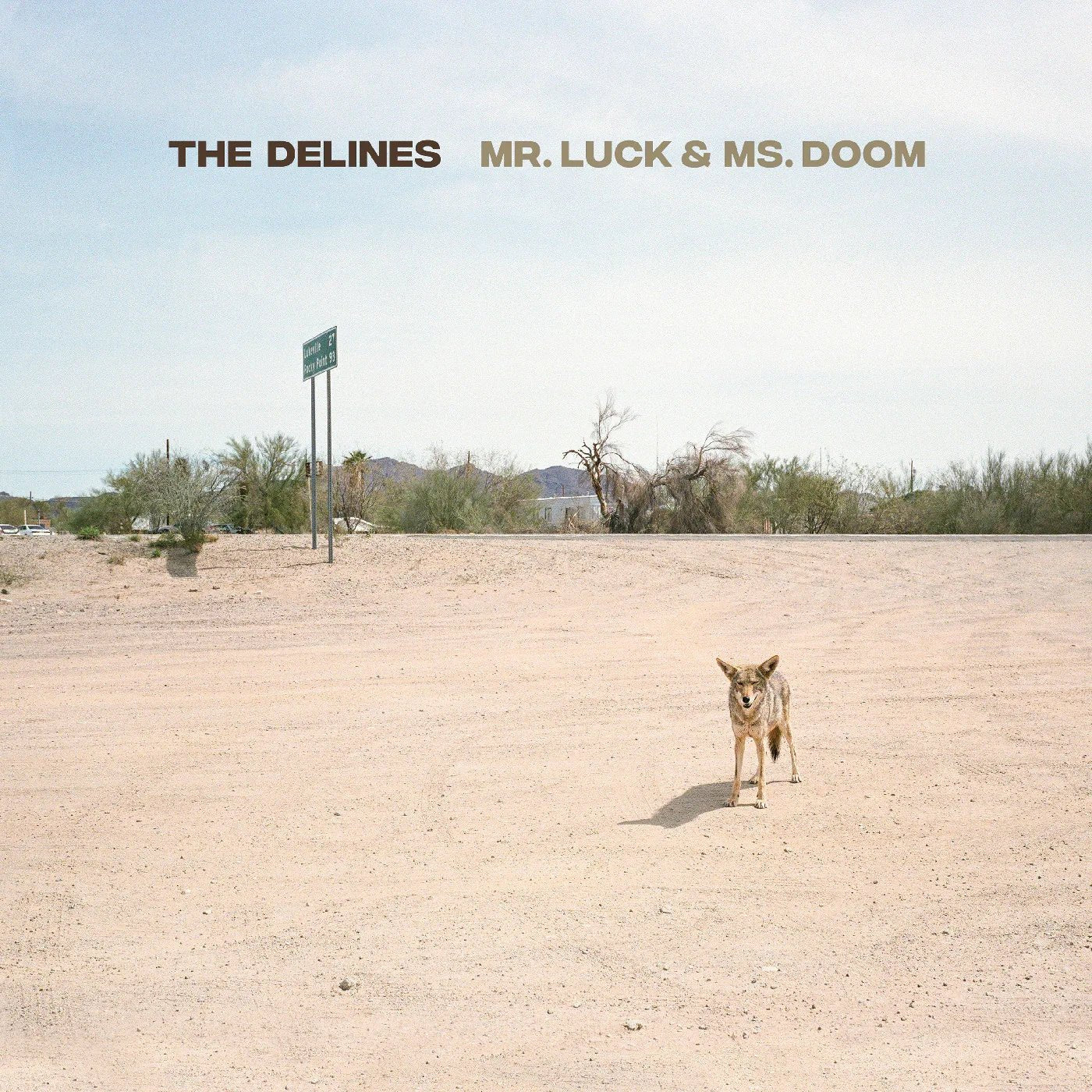 The Delines - Mr. Luck & Ms. Doom (Desert Hardscape Vinyl) (LP) - Joco Records