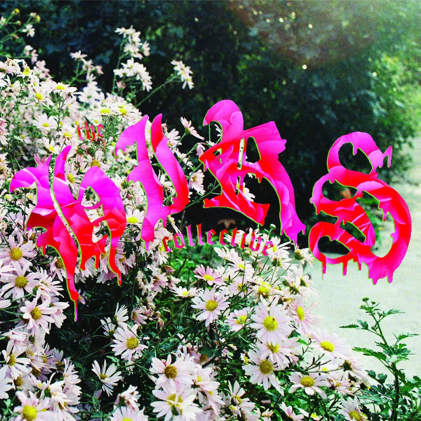The Hirs Collective - We're Still Here (Limited Edition, White Vinyl) (LP) - Joco Records