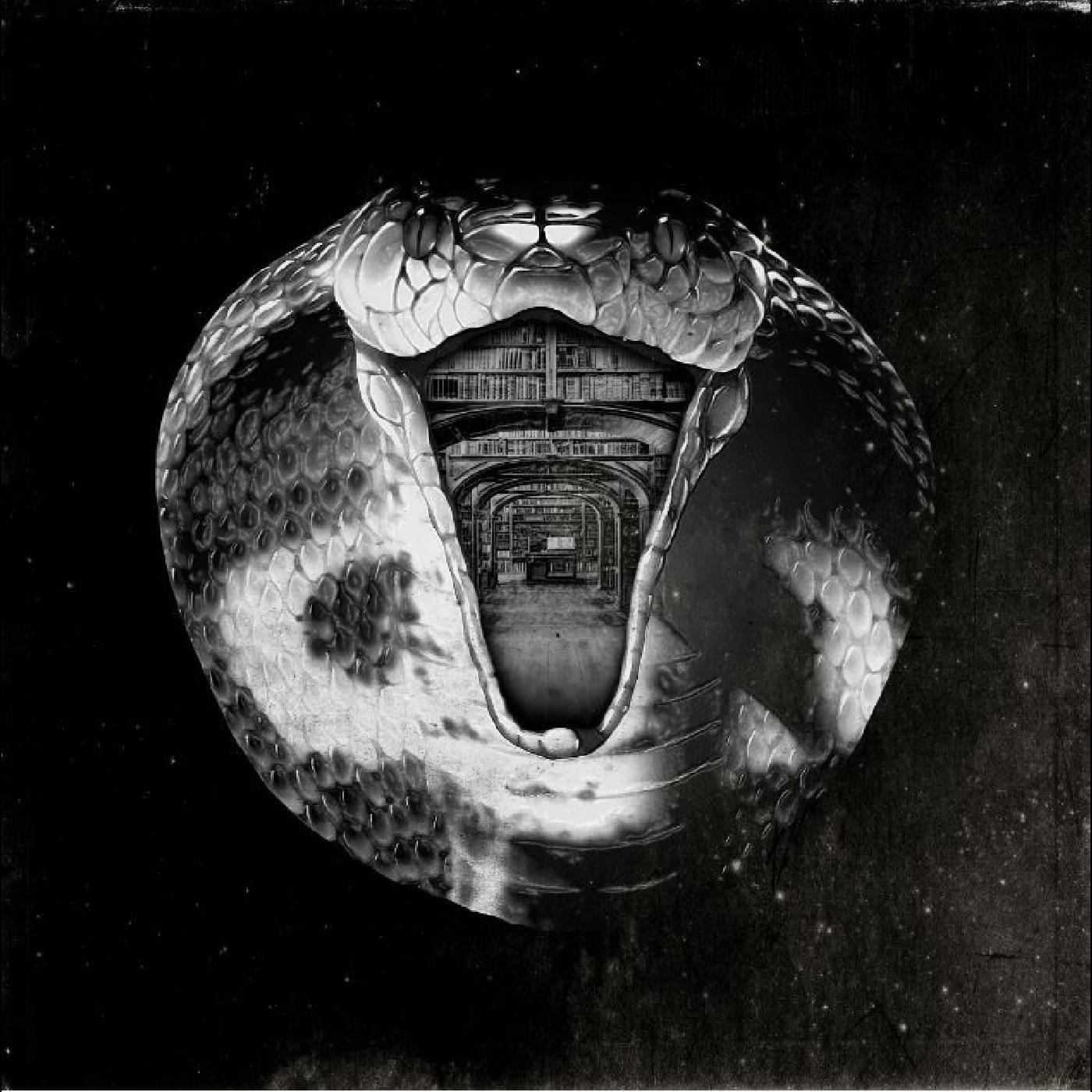 The Mommyheads - Genius Killer (Vinyl) - Joco Records