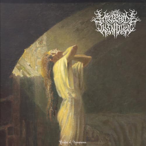 The Mosaic Window - Plight Of Acceptance (Random Vinyl) (LP) - Joco Records